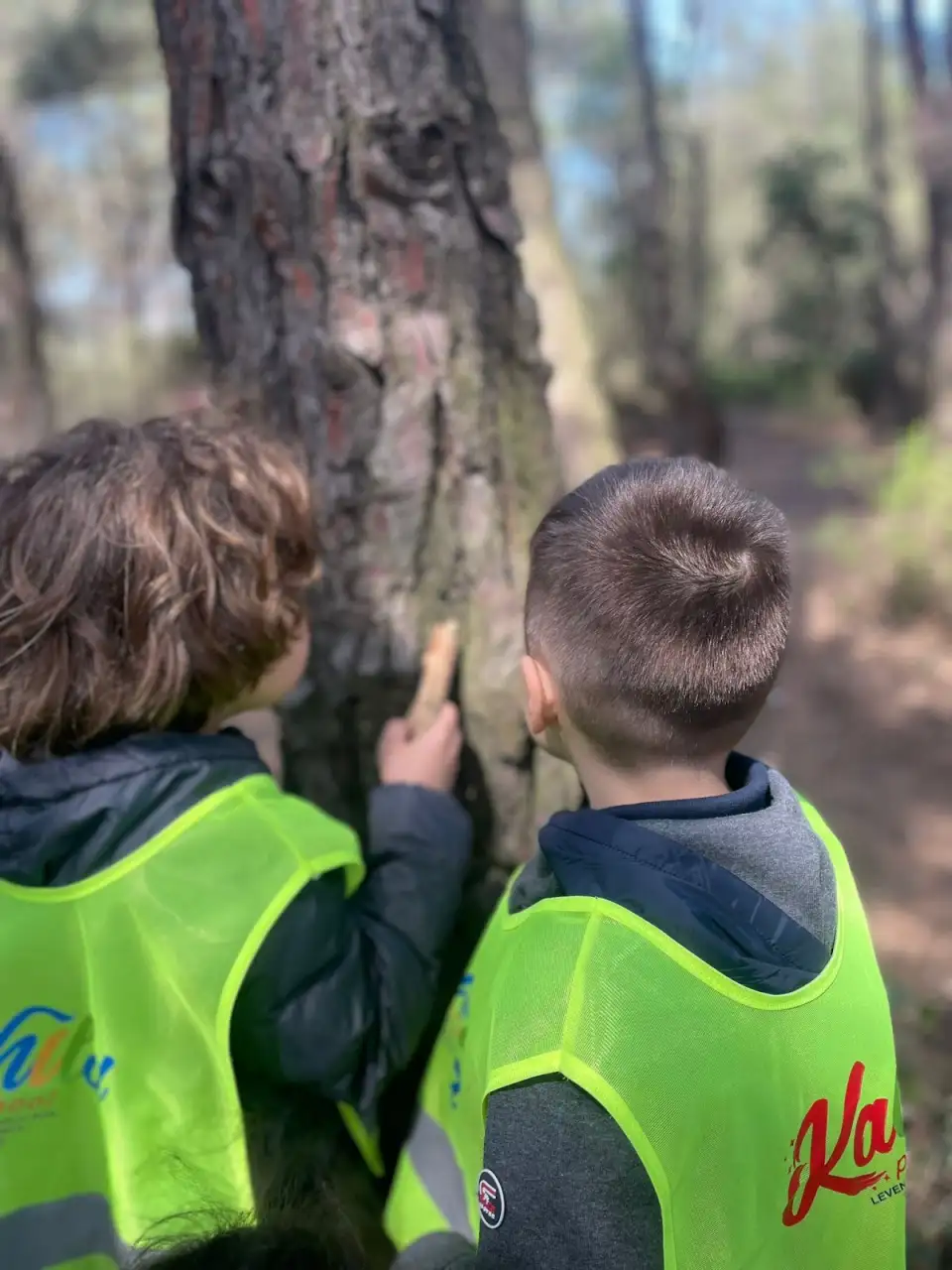 Kachild Preschool - Kreş ve Anaokulu - İstanbul - galeri görseli