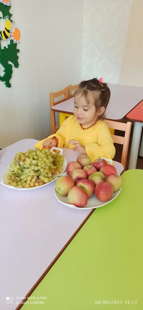 Şirinler Kreş Gündüz Bakımevi - Çocuk Bakım Merkezi - Aksaray - galeri görseli