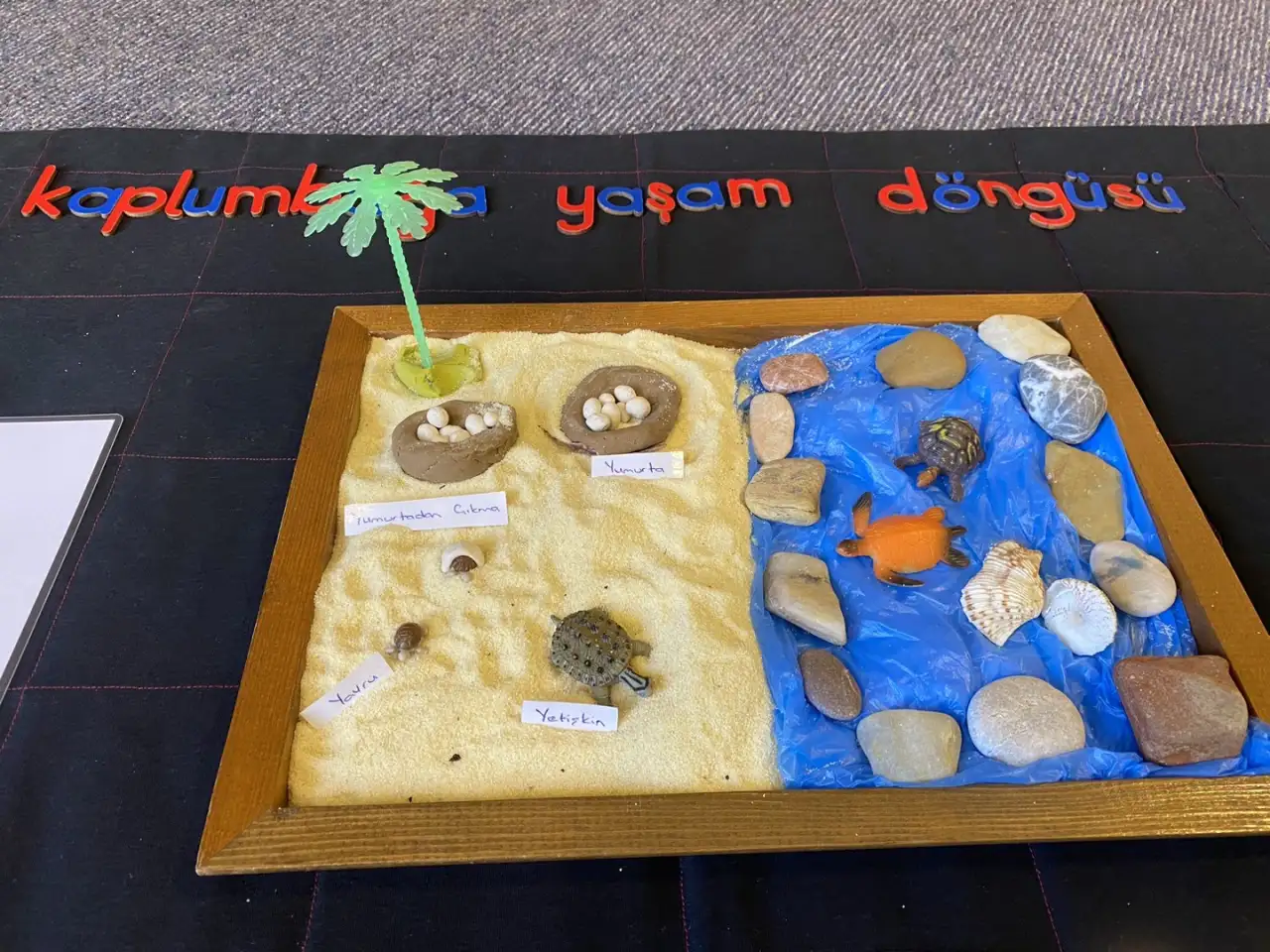 Bir Montessori Anaokulu - Kreş ve Anaokulu - İstanbul