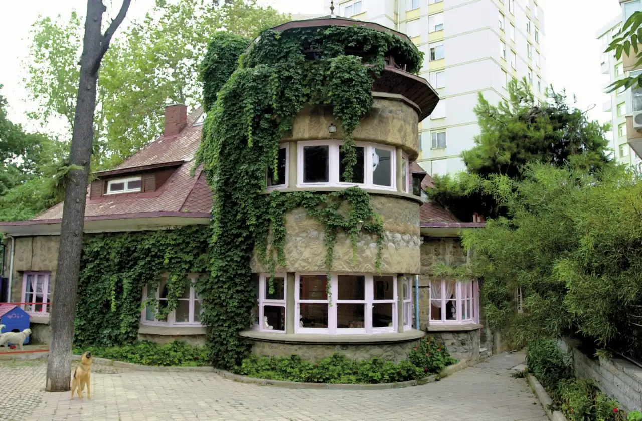 Sare Şafak Anaokulu - Kreş ve Anaokulu - İstanbul