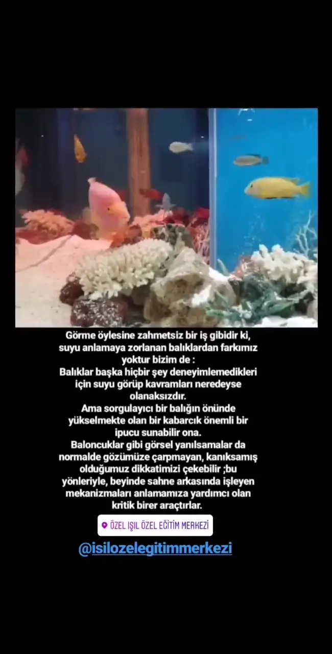 Işıl özel eğitim merkezi - Özel Eğitim ve Gelişim Merkezi - İstanbul - galeri görseli