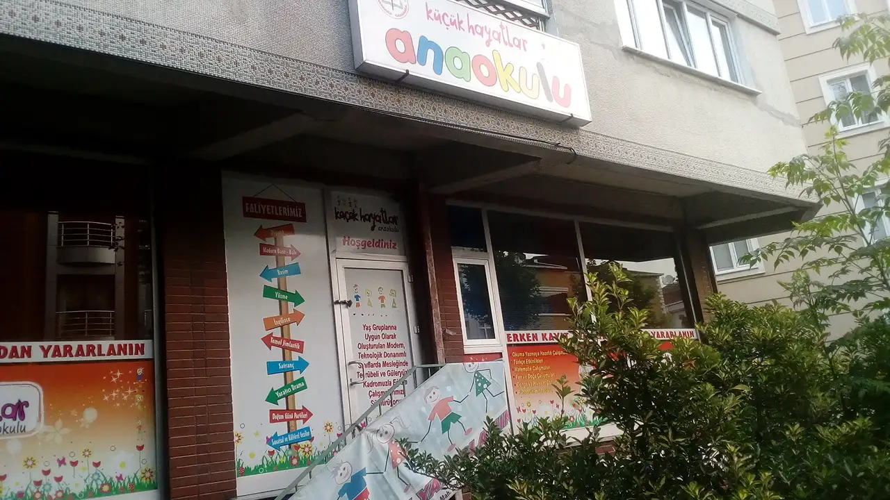 Özel Küçük Hayatlar Anaokulu - Kreş ve Anaokulu - İstanbul - galeri görseli