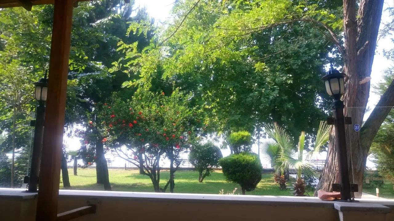 Gerçek Dünya Özel Eğitim Ve Rehabilitasyon Merkezi - Özel Eğitim ve Gelişim Merkezi - Yalova - galeri görseli