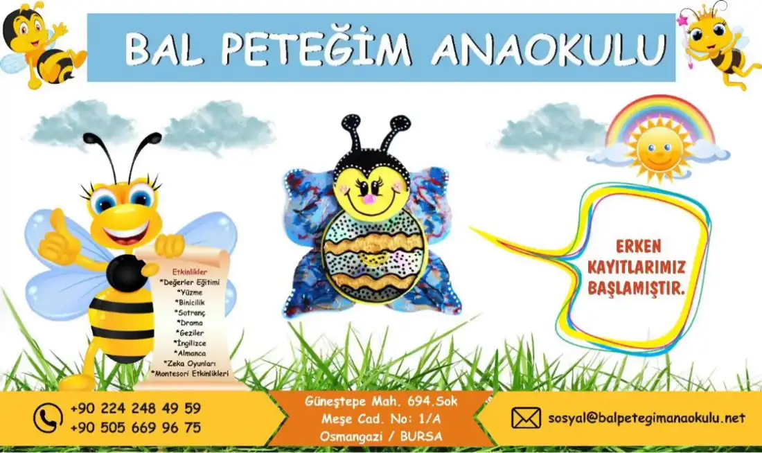 Bal Peteğim Anaokulu - Kreş ve Anaokulu - Bursa - galeri görseli