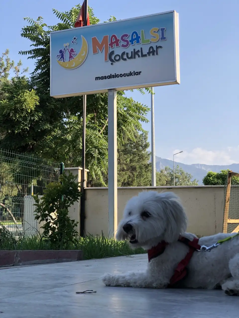 Masalsı Çocuklar Özel Eğitim ve Rehabilitasyon Merkezi - Çocuk Bakım Merkezi - Denizli - galeri görseli