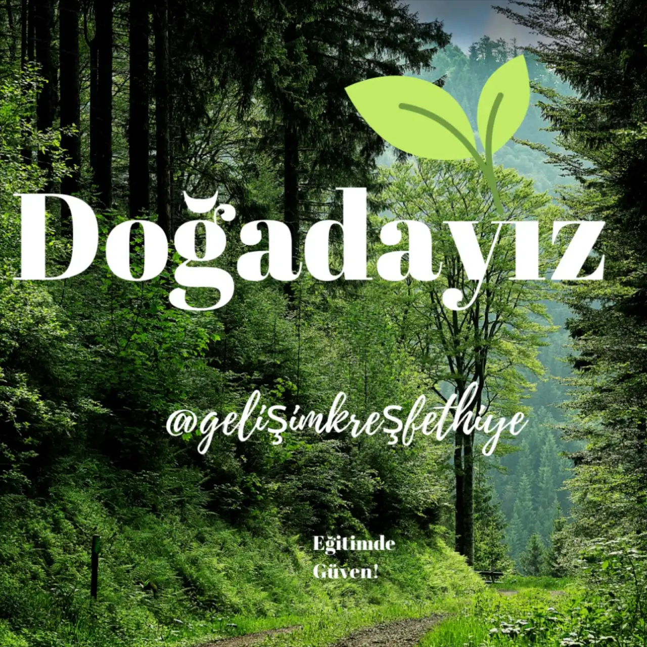 Gelişim Kreş Ve Anaokulu