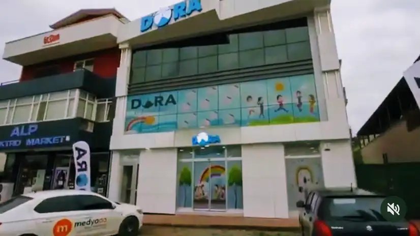 Dora Gelişim Akademisi - Özel Eğitim, Otizm, Ergoterapi, Oyun Terapisi