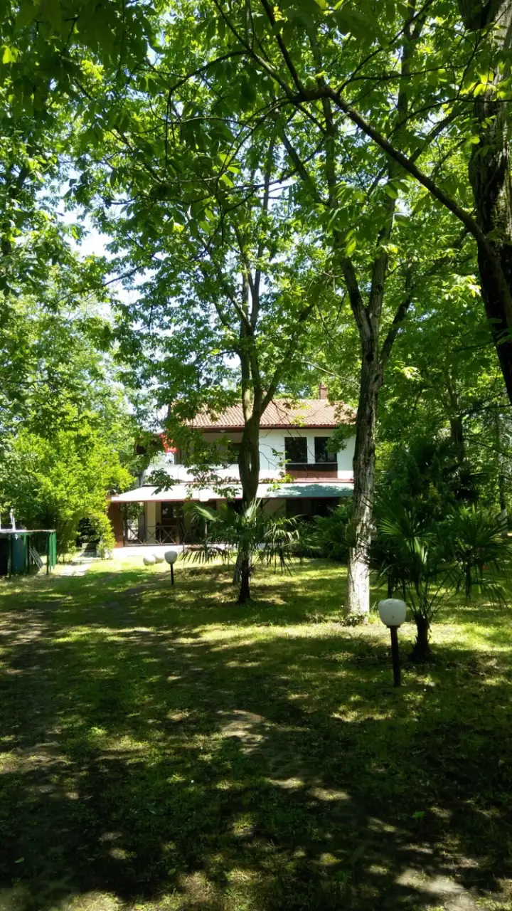 Özel Sporcular Otizm Akademi