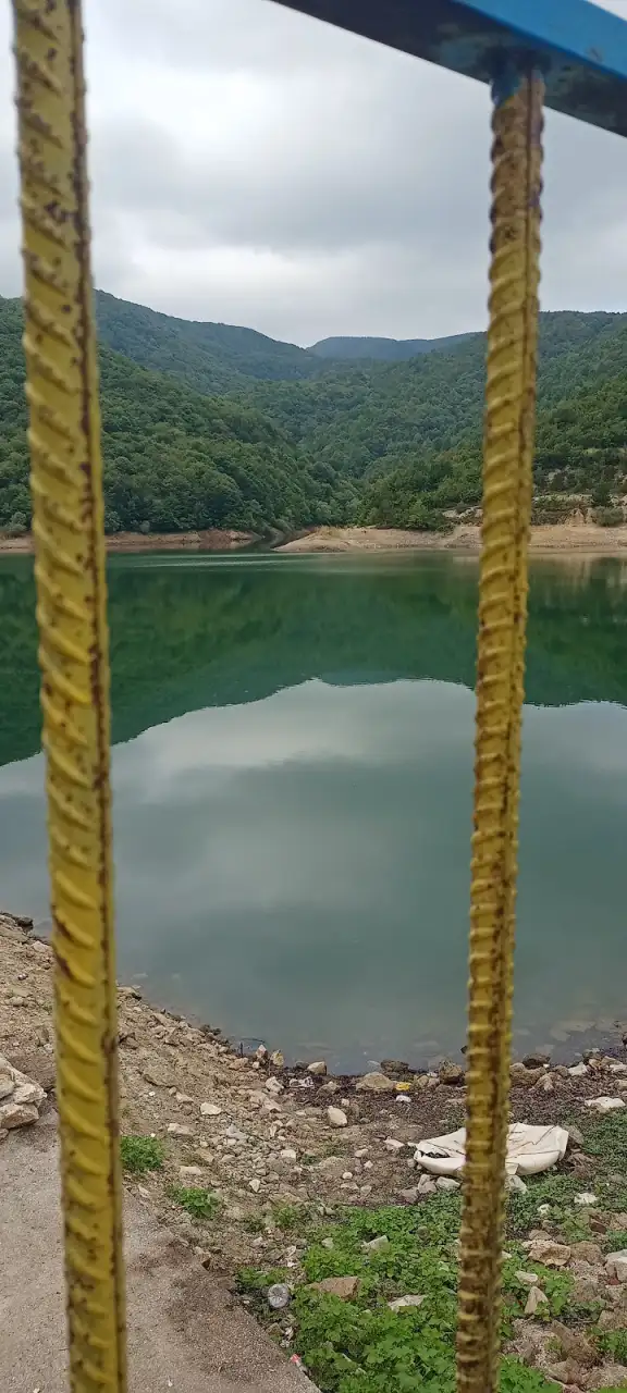 Çizgi Disleksi Özel Eğitim ve Rehabilitasyon Merkezi