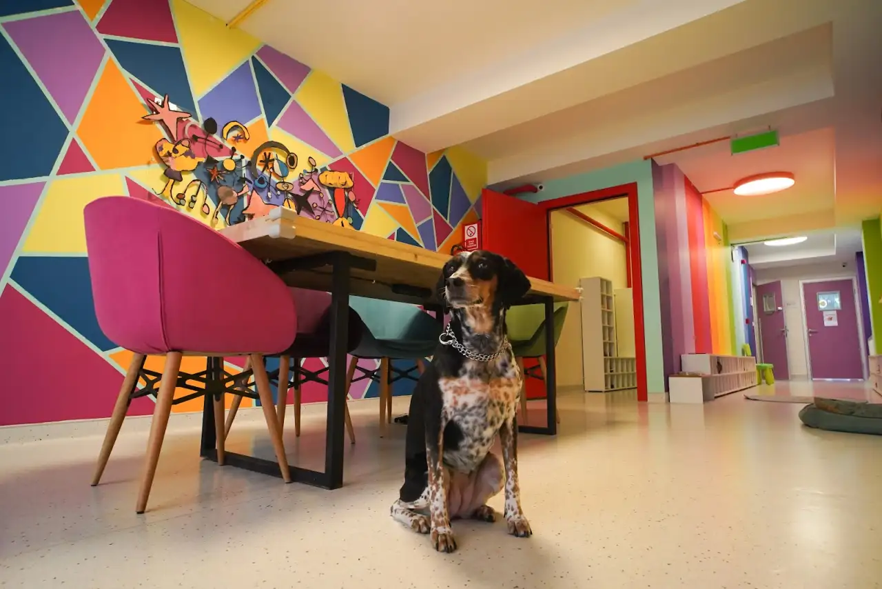 Indigo Kids House