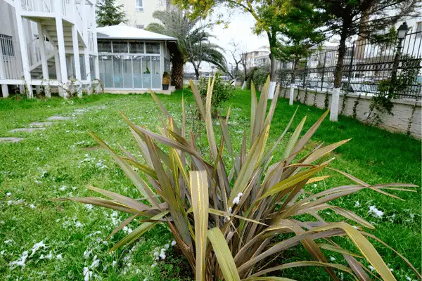 Aronya Huzurevi ve Yaşlı Bakım Merkezi - Yaşlı Bakım Evi - Yalova - galeri görseli
