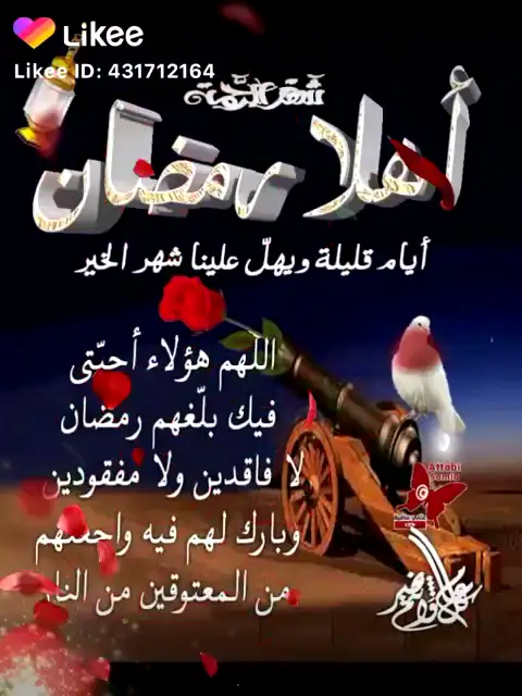 روضة تاج الوقار