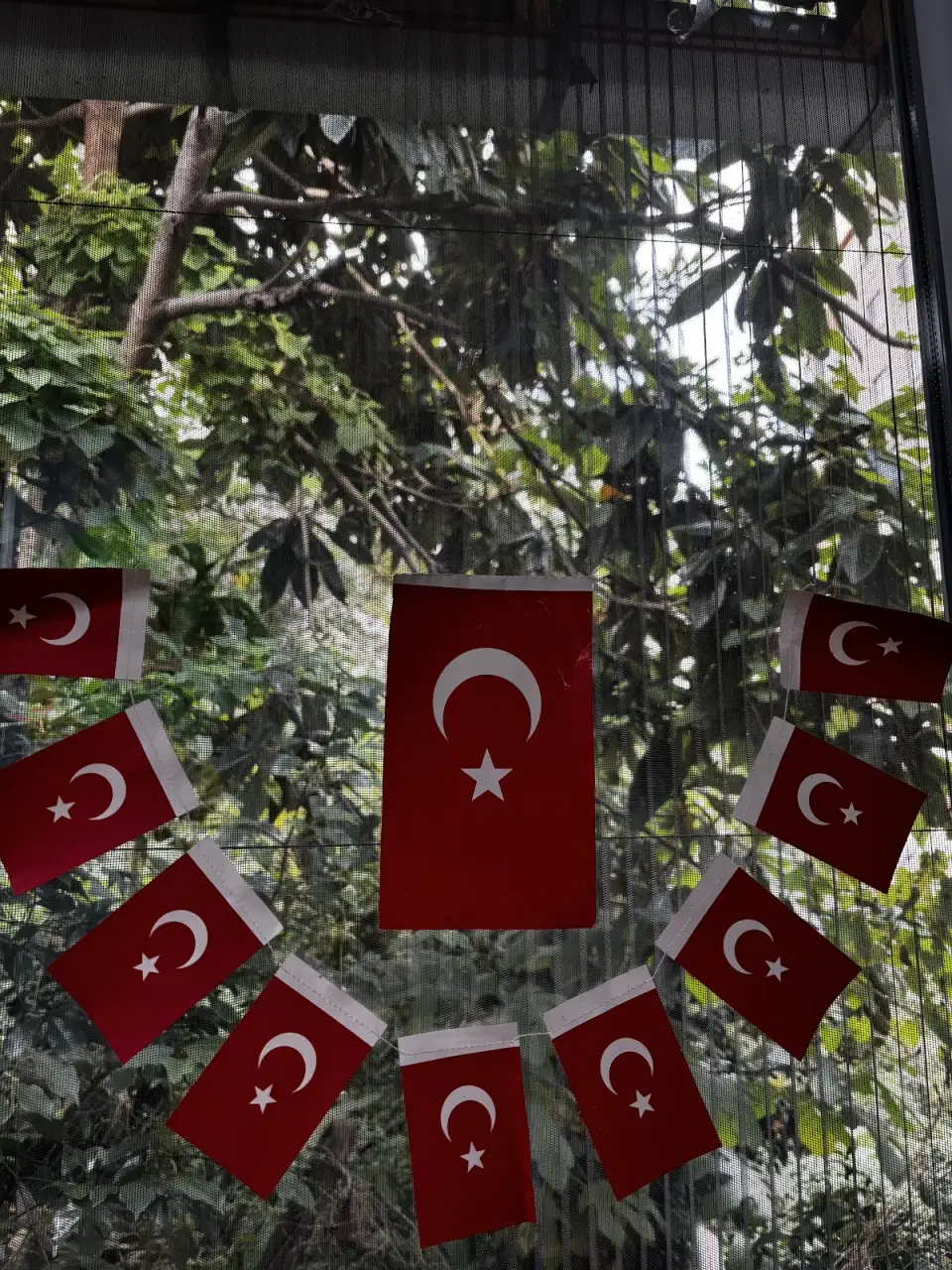 Umut Kreş ve Anaokulu - Kreş ve Anaokulu - Rize - galeri görseli
