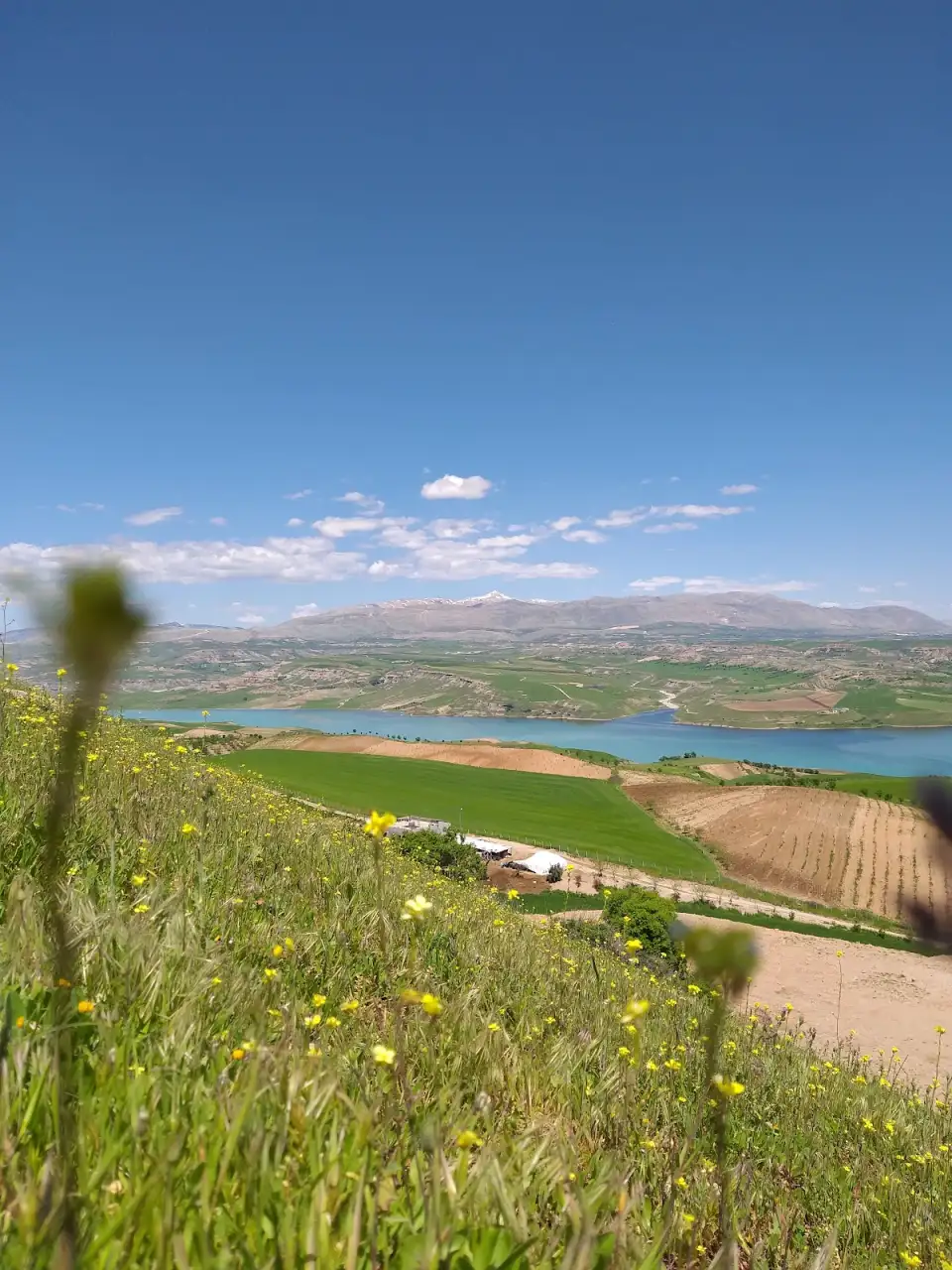 Gelincik Anaokulu - Kreş ve Anaokulu - Adıyaman