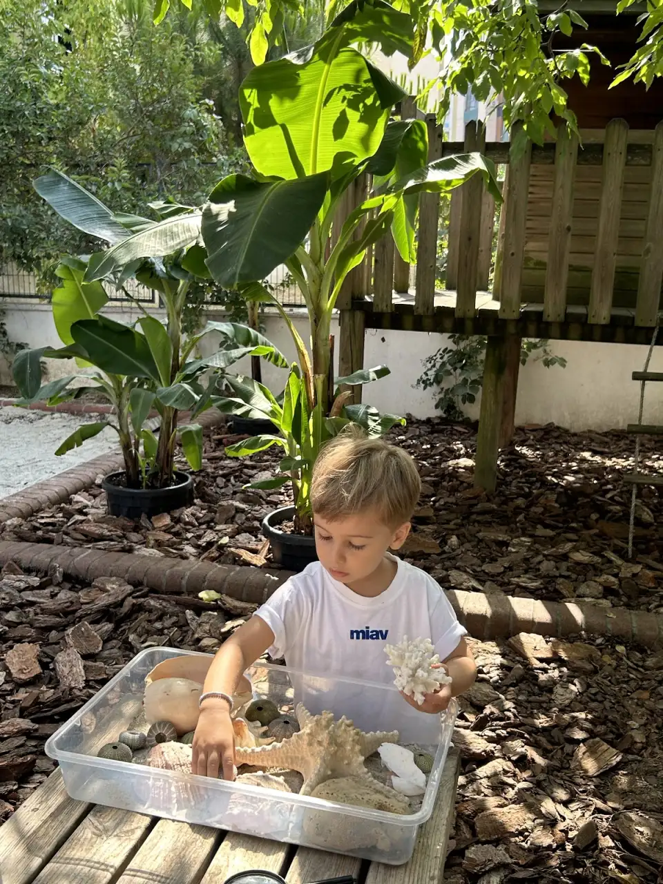Hayat Ağacı Montessori Anaokulu - Kreş ve Anaokulu - İstanbul