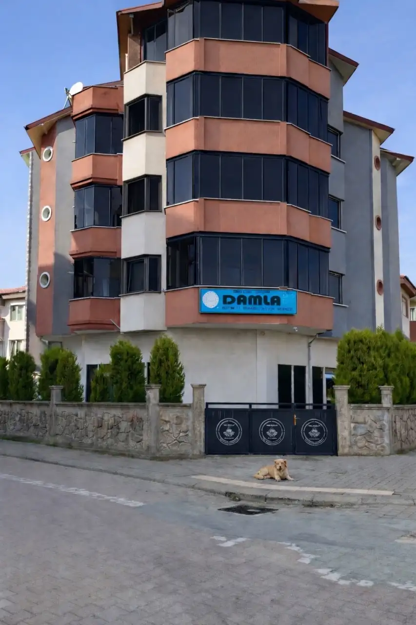 DAMLA ÖZEL EĞİTİM MERKEZİ - Özel Eğitim ve Gelişim Merkezi - Zonguldak - galeri görseli