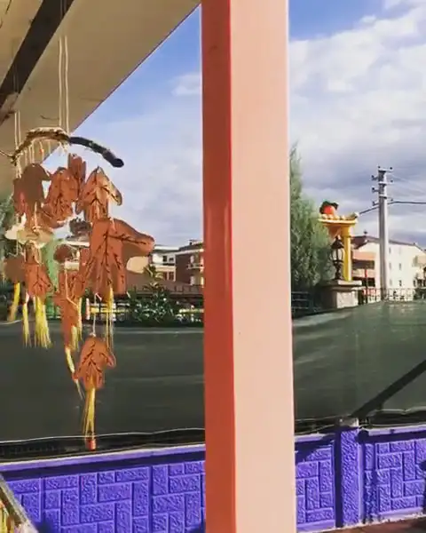 Mini koza kreş - Çocuk Bakım Merkezi - Kocaeli - galeri görseli