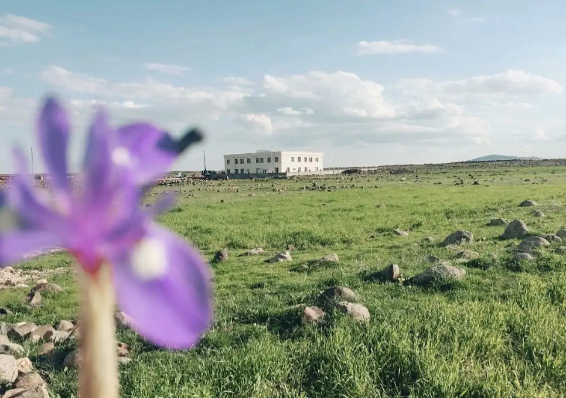 Özel idil ışık özel eğitim ve rehabilitasyon merkezi - Özel Eğitim ve Gelişim Merkezi - Şırnak