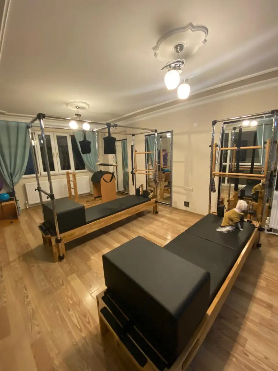 FizyoNeşe Fizyoterapi ve Sağlıklı Yaşam Merkezi - Fizik Tedavi ve Rehabilitasyon - Aydın - galeri görseli