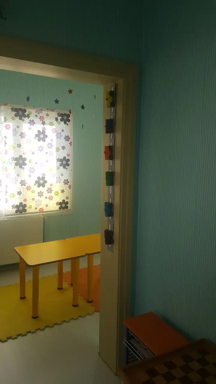 Özel Pendik Akıllım Anaokulu