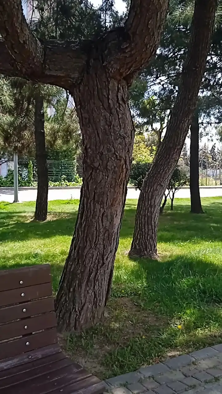 Bahçeşehir Anaokulu - Kreş ve Anaokulu - İstanbul