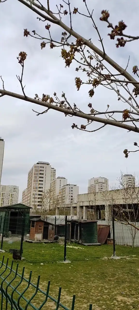 Şehit Serdar Gökbayrak Anaokulu - Kreş ve Anaokulu - İstanbul - galeri görseli