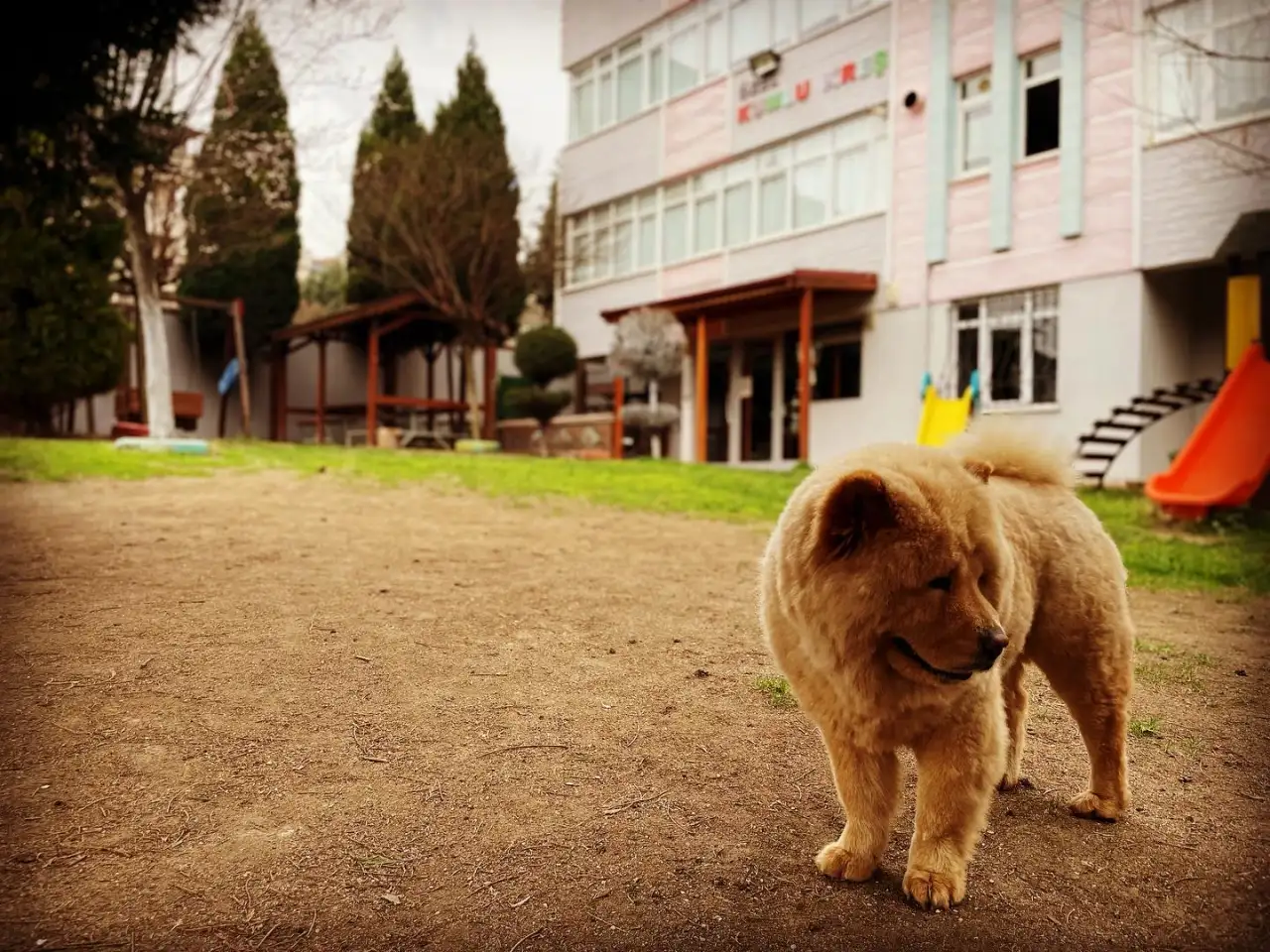 Pembe Mavi Düşler Anaokulu ve Gündüz Bakımevi