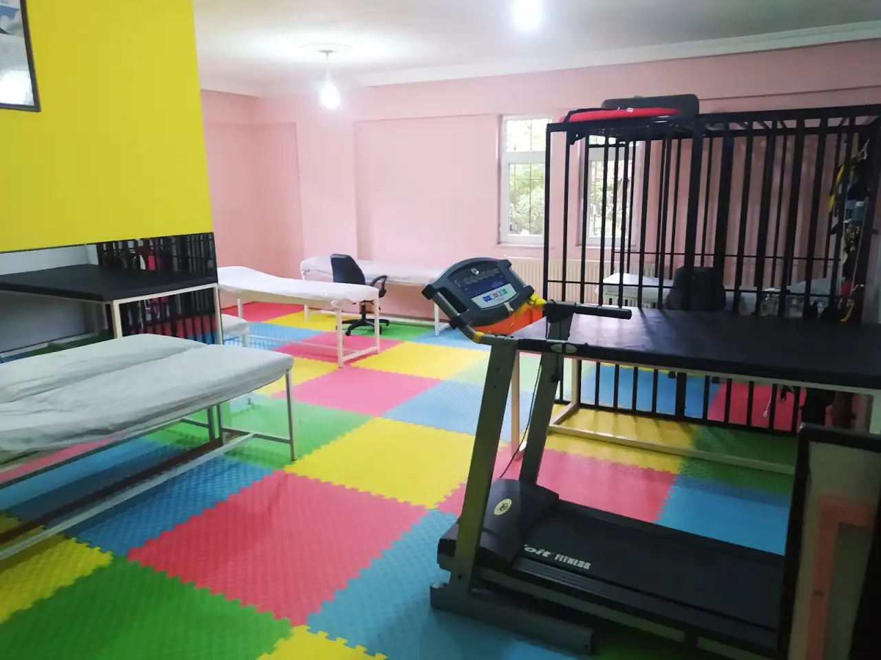 Özel Fizyoaktif Özel Eğitim Ve Rehabilitasyon Merkezi - Özel Eğitim ve Gelişim Merkezi - Van - galeri görseli