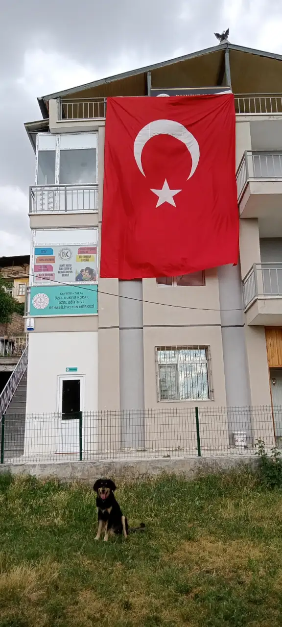 Rukiye KOÇAK Özel Eğitim ve Rehabilitasyon Merkezi - Özel Eğitim ve Gelişim Merkezi - Kayseri - galeri görseli