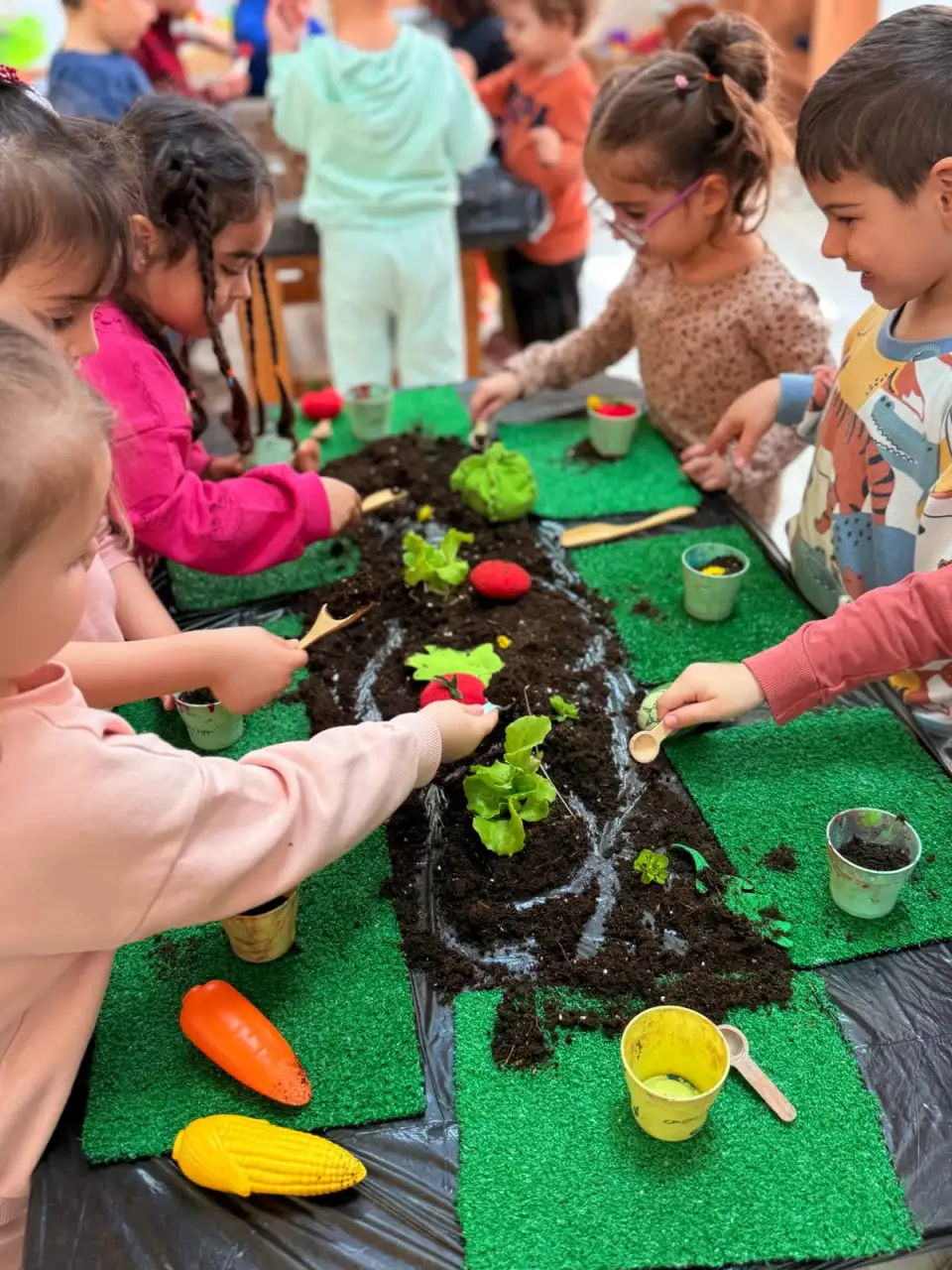 Mini koza kreş