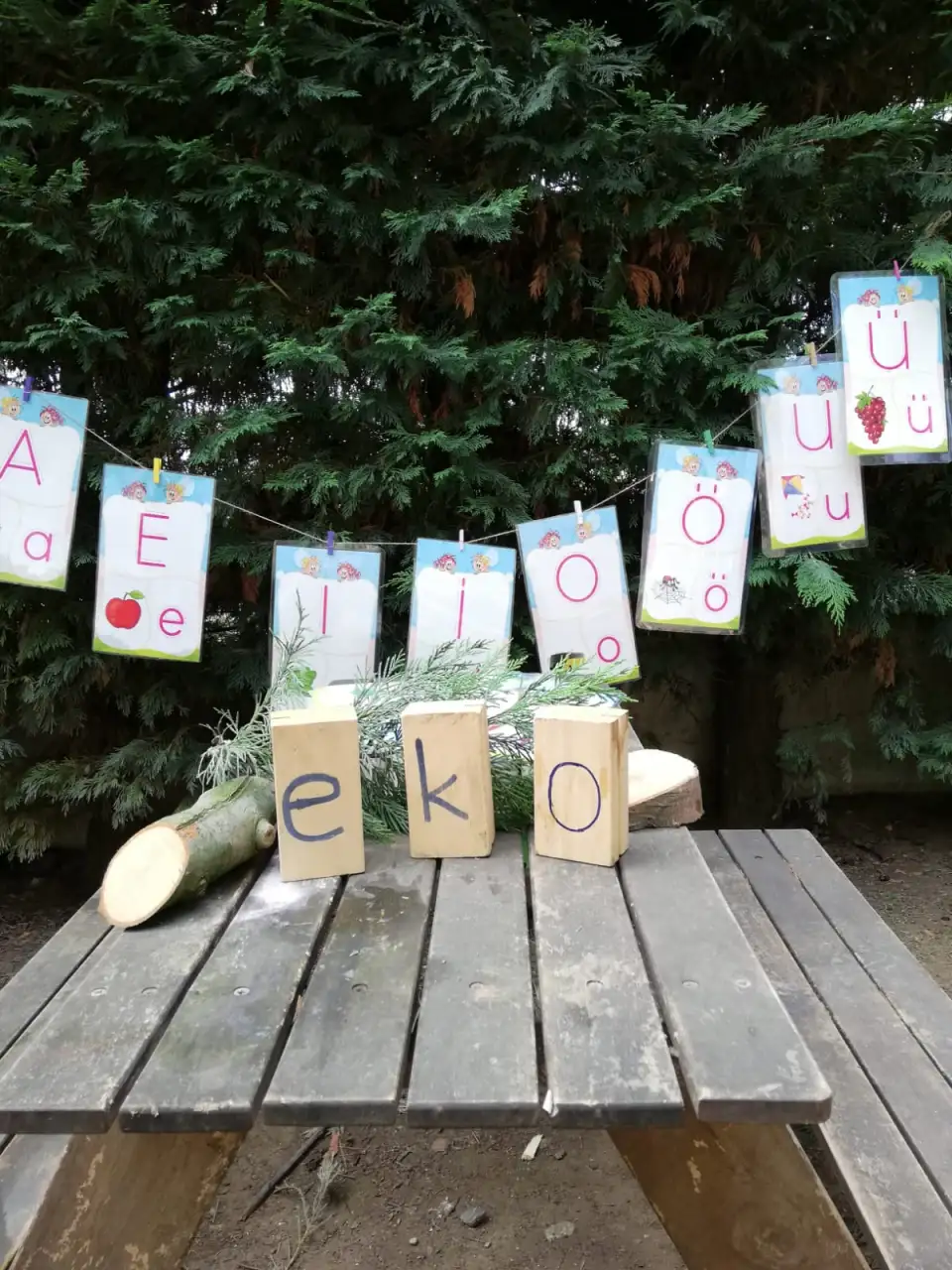 EKOKIDS Anaokulu - Kreş ve Anaokulu - İstanbul - galeri görseli