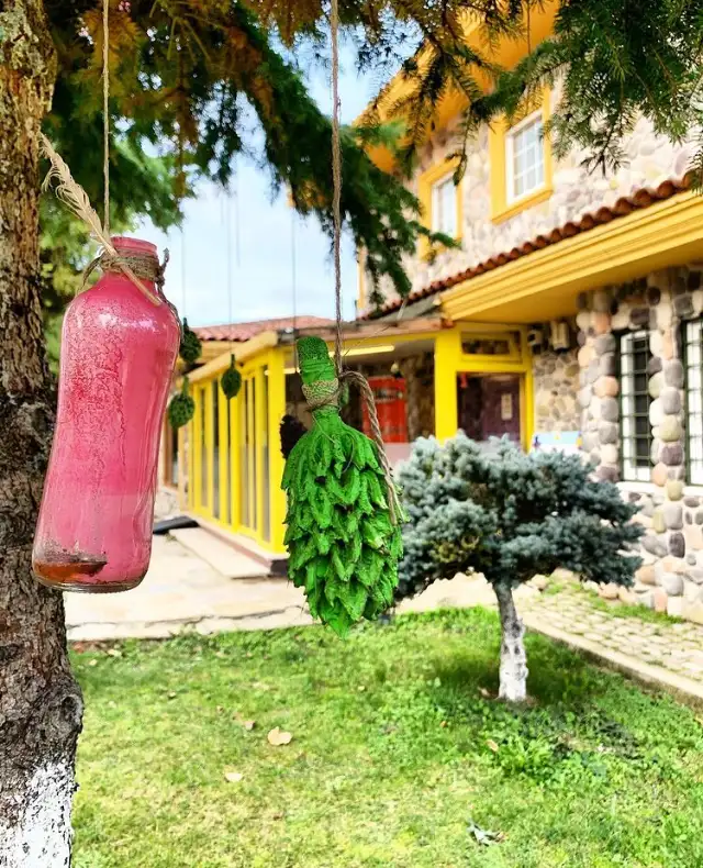 ForestKids International Preschool - Kreş ve Anaokulu - İstanbul