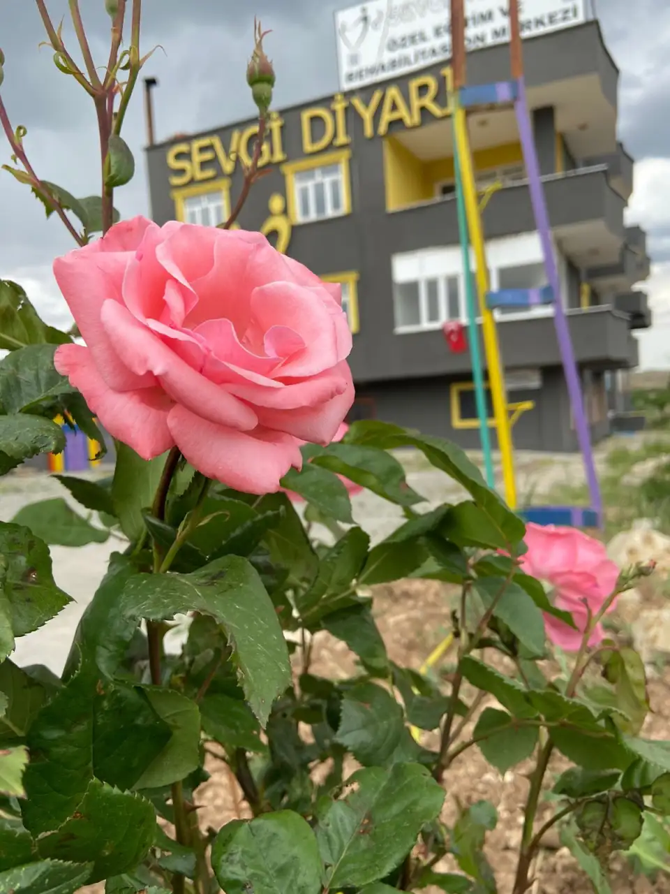 ÖZEL SEVGİ DİYARI ÖZEL EĞİTİM VE REHABİLİTASYON MERKEZİ - Özel Eğitim ve Gelişim Merkezi - Mardin