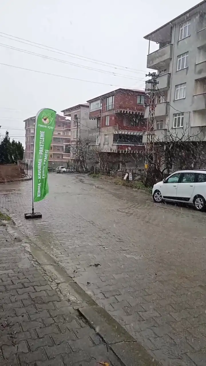 Hayat Şebnem Özel Eğitim Ve Rehabilitasyon Merkezi - Özel Eğitim ve Gelişim Merkezi - Giresun