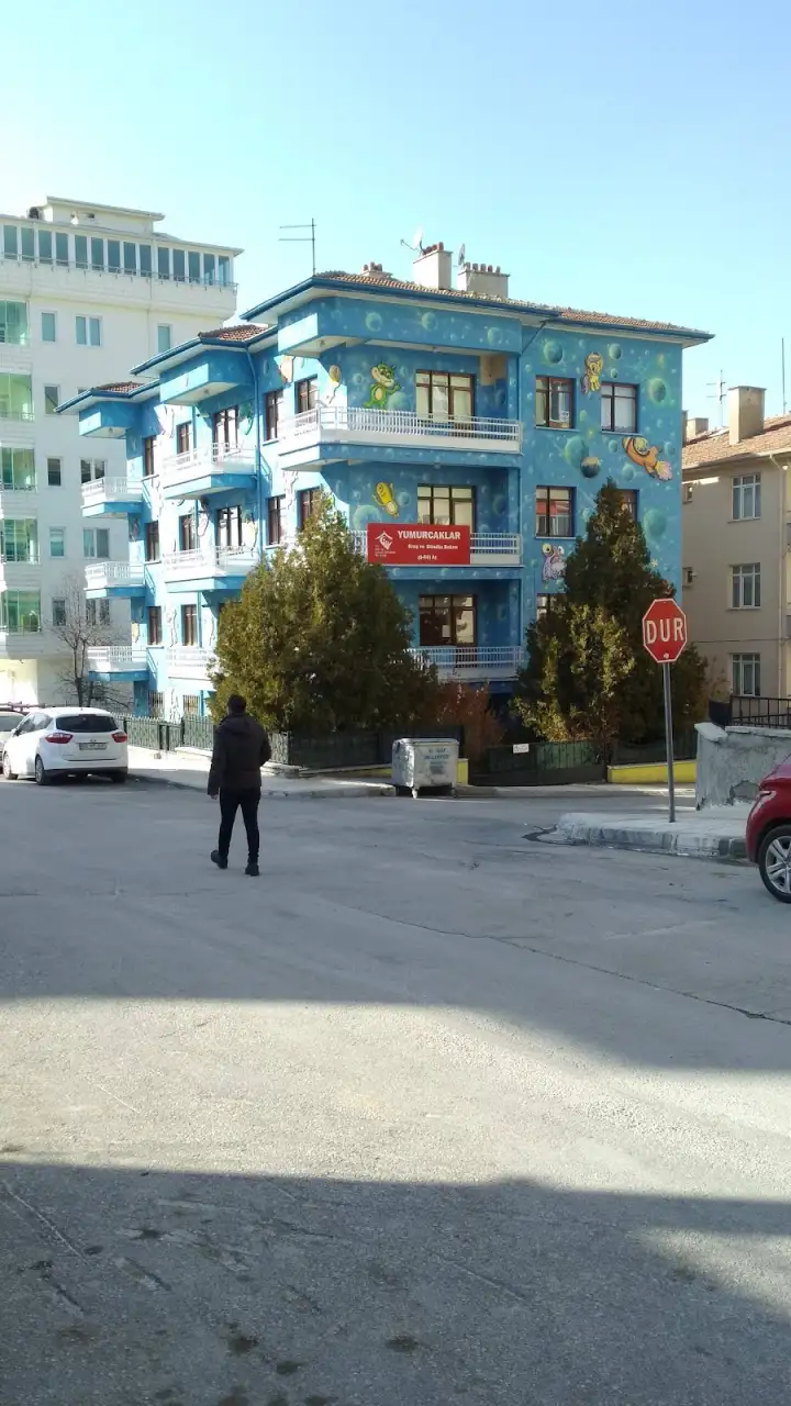 Yumurcaklar Kreş ve Gündüz Bakımevi - Kreş ve Anaokulu - Çorum - galeri görseli