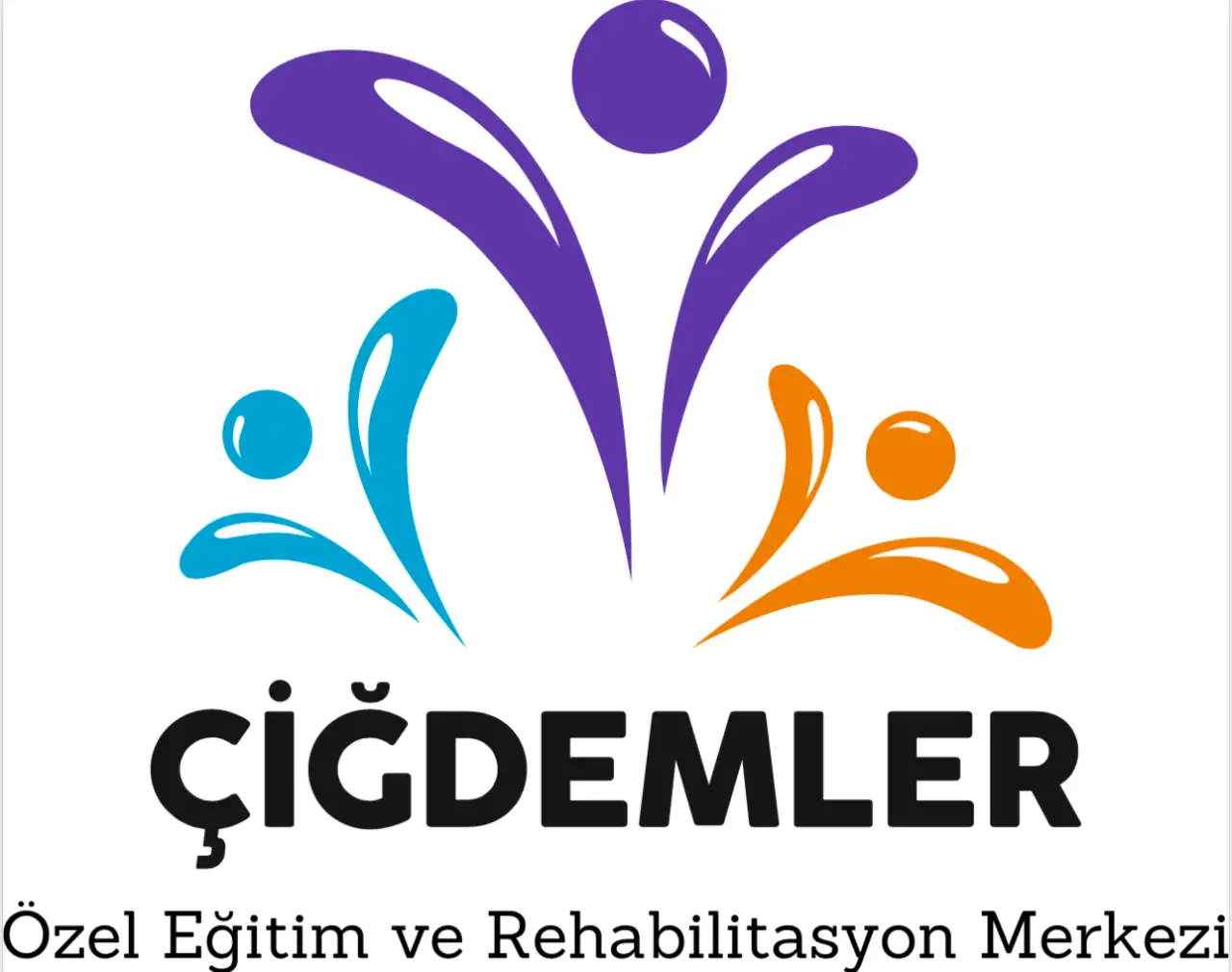 Çiğdemler Özel Eğitim Ve Rehabilitasyon Merkezi - Özel Eğitim ve Gelişim Merkezi - İstanbul - galeri görseli