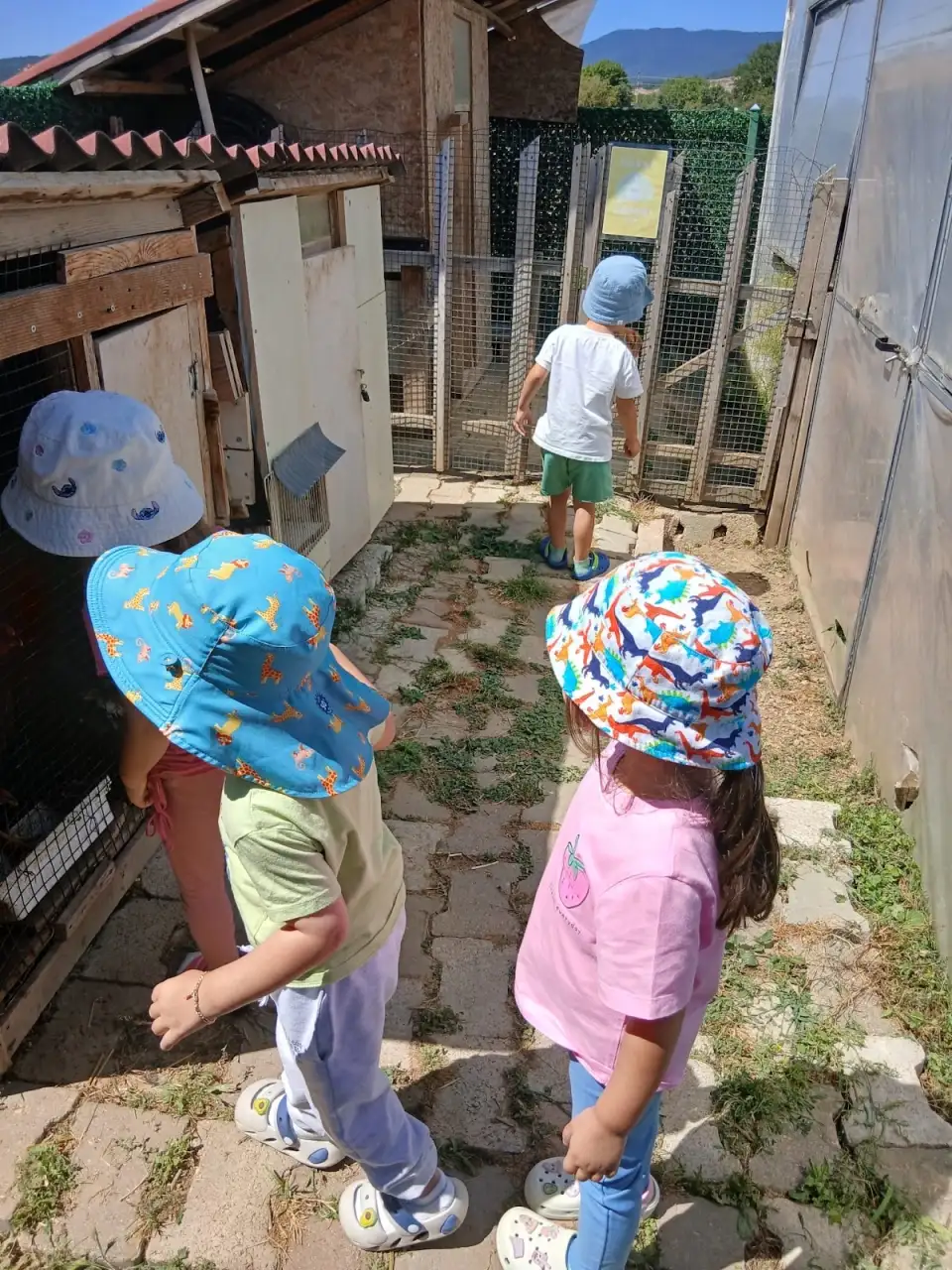 Pusula Kids Kreş ve Gündüz Bakım Evi - Kreş ve Anaokulu - Bolu - galeri görseli