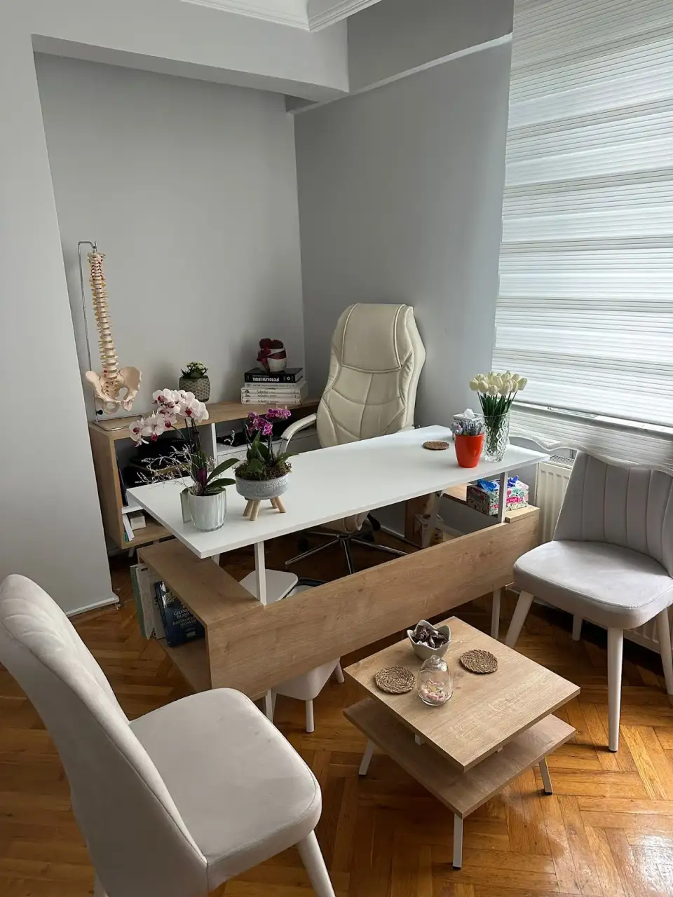 SZ Klinik Fizik Tedavi , Diyet ve Sağlık Hizmetleri Merkezi - Fizik Tedavi ve Rehabilitasyon - İstanbul - galeri görseli
