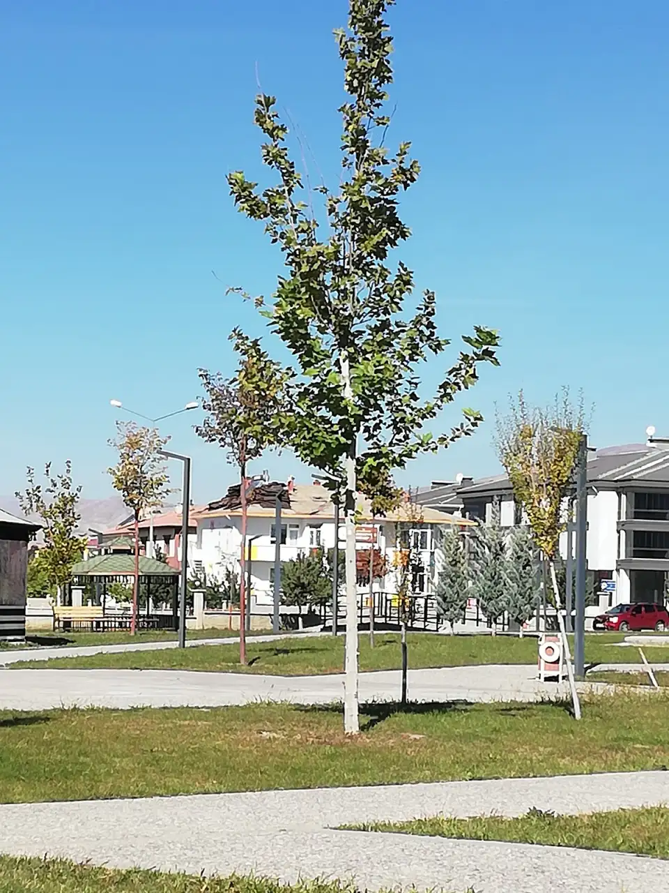Gülizar Altın Çocuk Gündüz Bakımevi - Çocuk Bakım Merkezi - Erzincan - galeri görseli