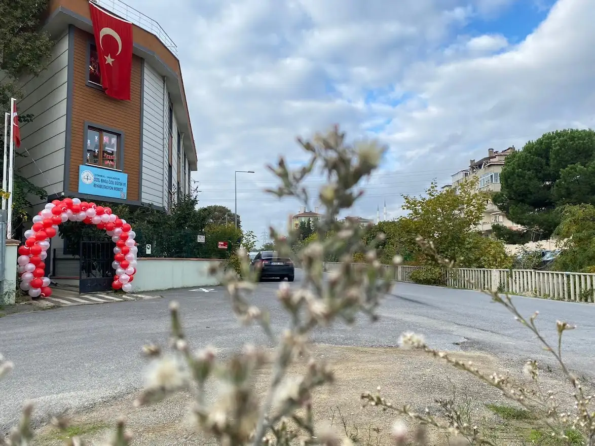 Sancaktepe Binsu Özel Eğitim ve Rehabilitasyon Merkezi - Özel Eğitim ve Gelişim Merkezi - İstanbul