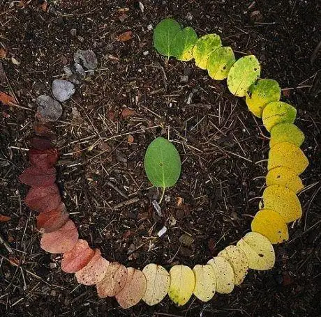 Özel Tuzla Çember Montessori Anaokulu
