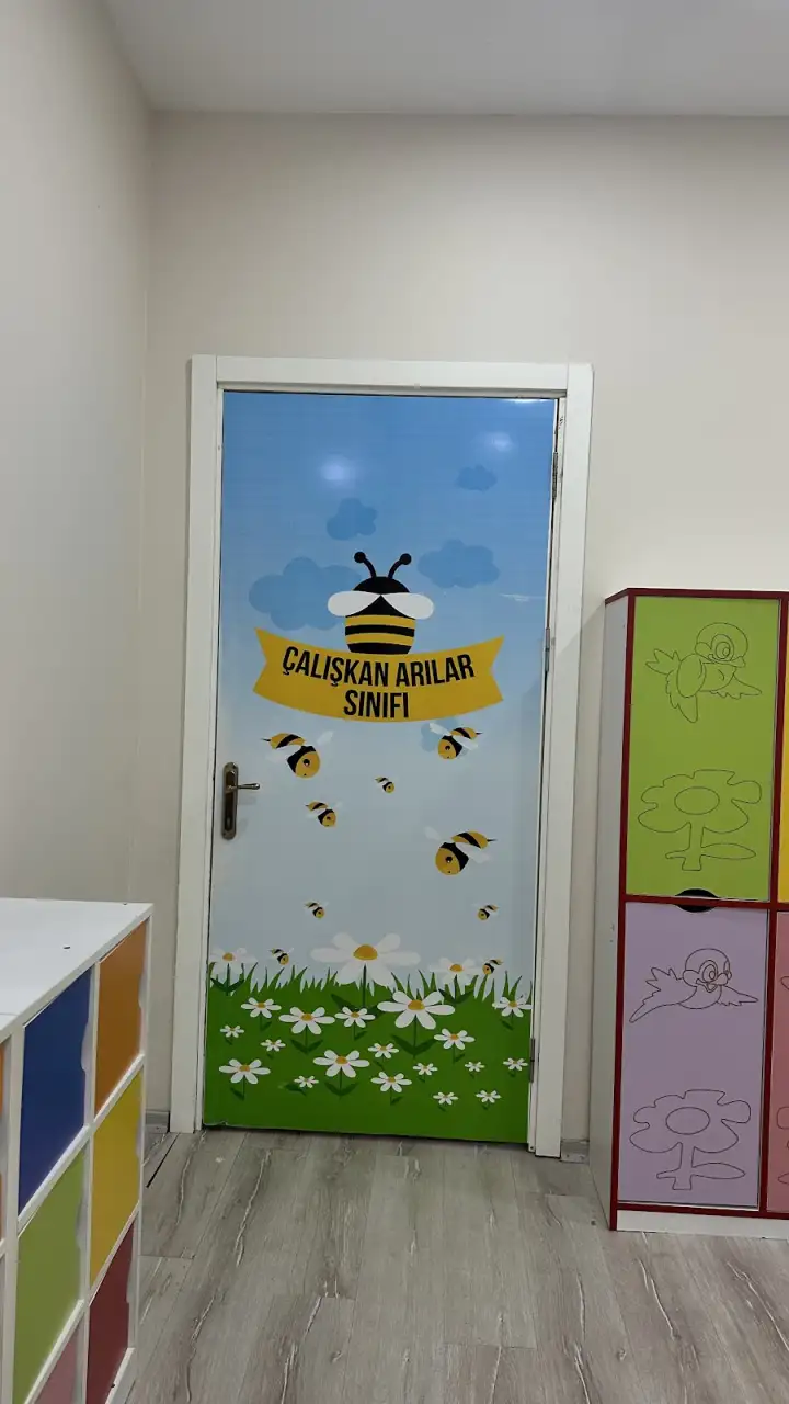 Hamidiye Kardelen Anaokulu - Kreş ve Anaokulu - İstanbul - galeri görseli