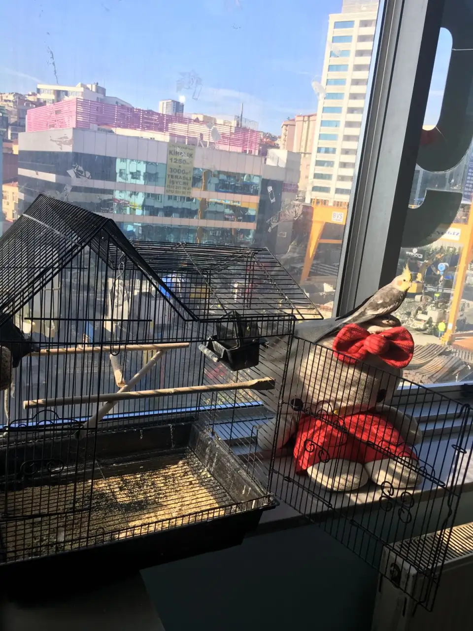 Özel Kağıthane Nar Tanesi Özel Eğitim ve Rehabilitasyon Merkezi - Özel Eğitim ve Gelişim Merkezi - İstanbul - galeri görseli