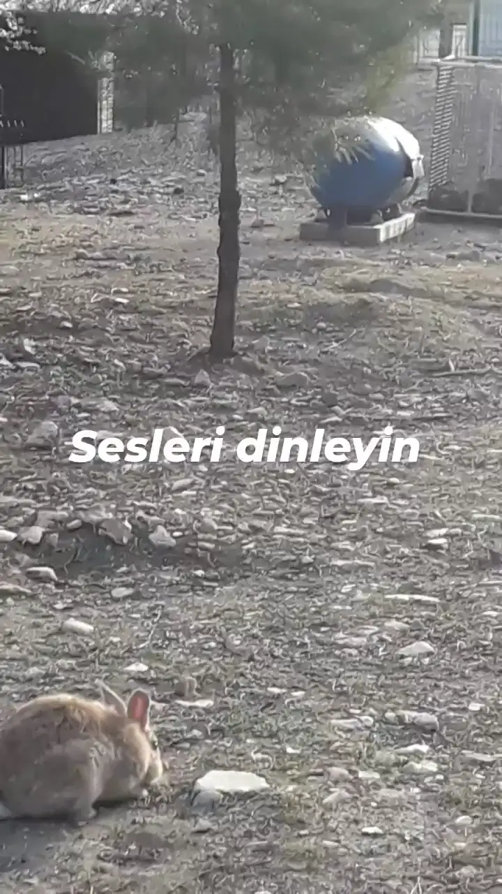 Hacı Semiha Kulaklı Anaokulu - Kreş ve Anaokulu - Denizli - galeri görseli