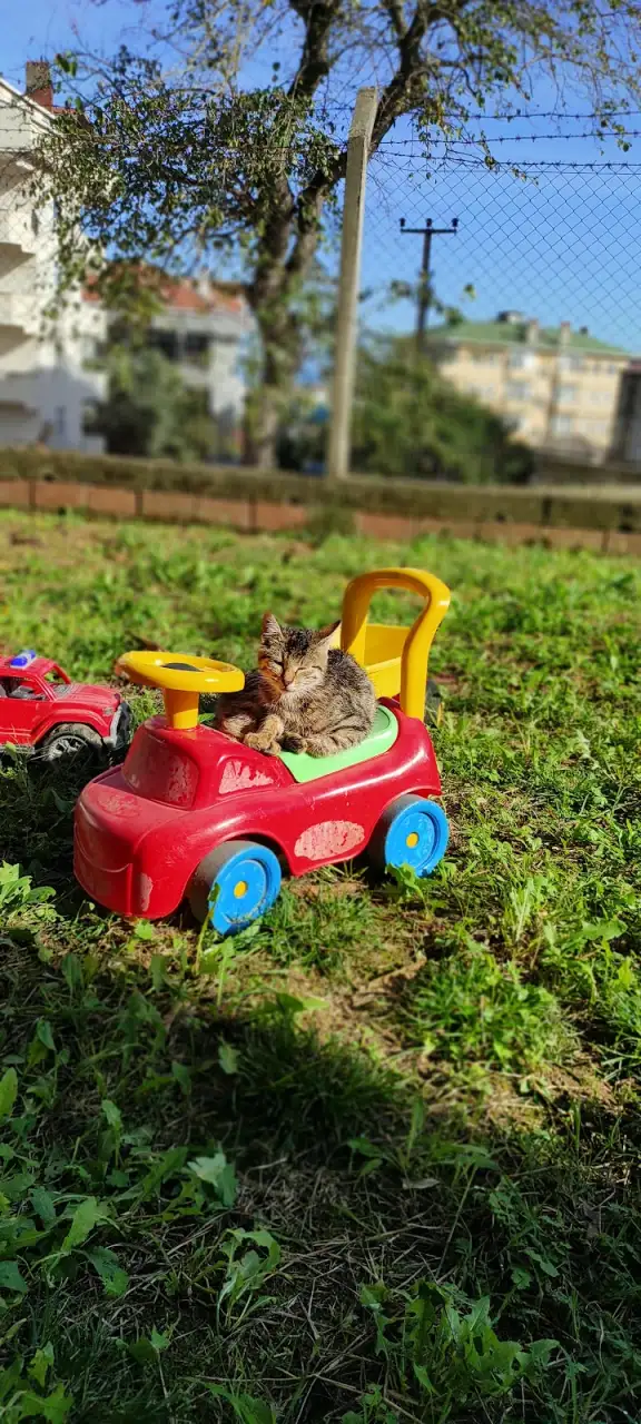 Akçakoca ÖZEL BİRCE KREŞİ - Çocuk Bakım Merkezi - Düzce