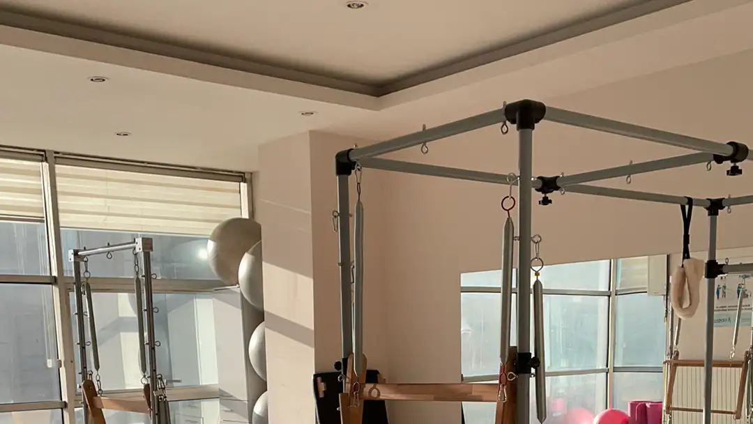 FİZYODİYET SAĞLIKLI YAŞAM,FİZYOTERAPİ VE DİYET - Fizik Tedavi ve Rehabilitasyon - Bitlis