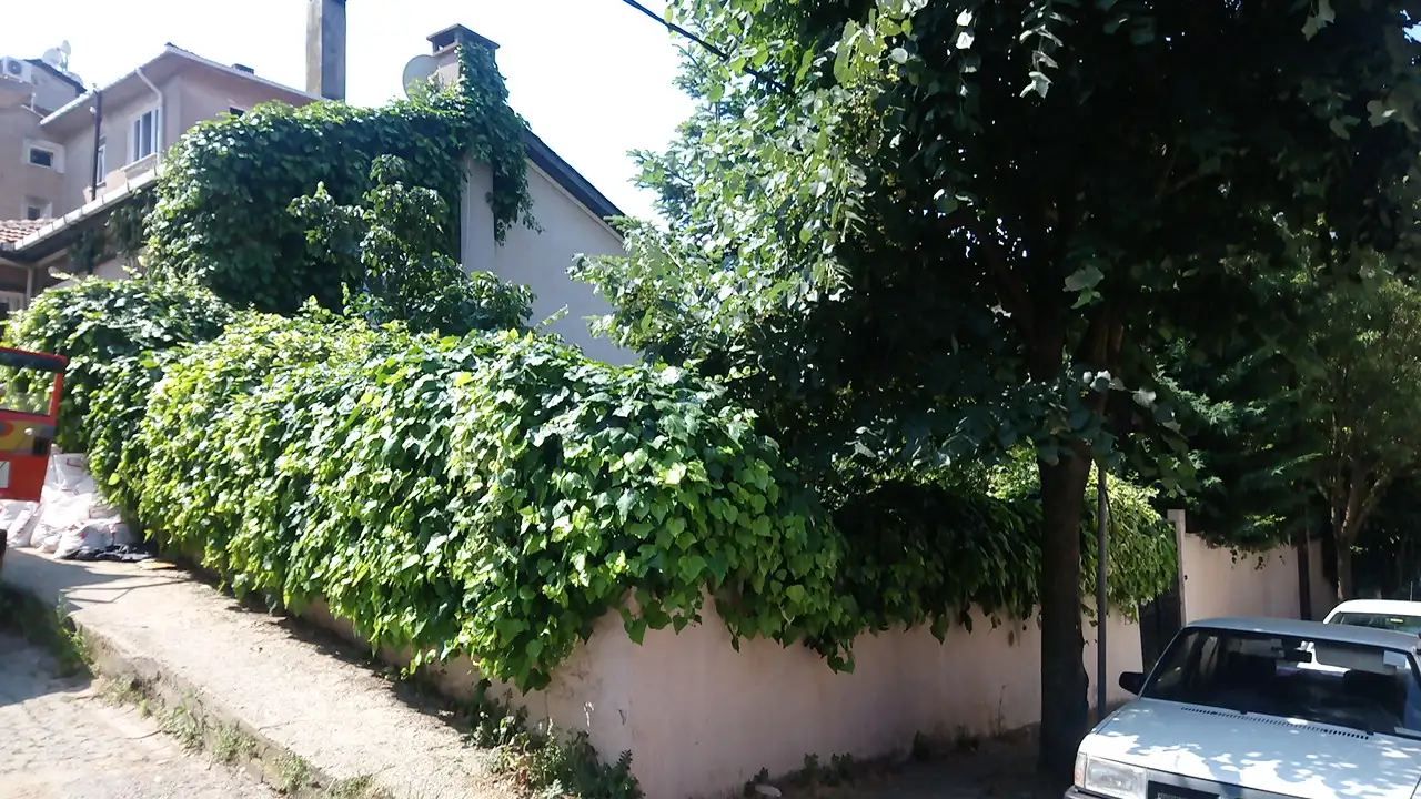 Meraklı Minik Anaokulu - Kreş ve Anaokulu - İstanbul