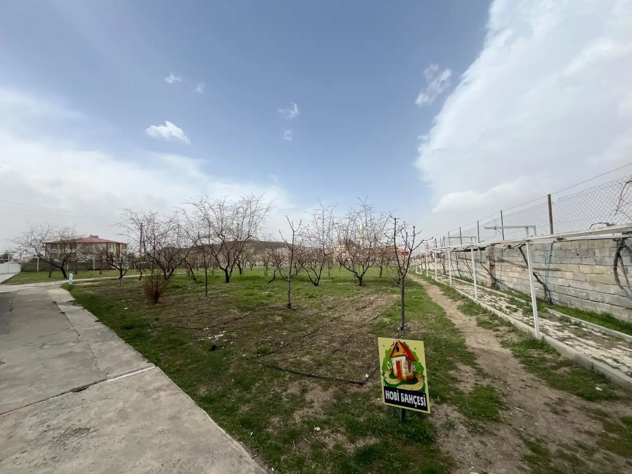 ÖZEL ELİF EREN BAKIM MERKEZİ - Yaşlı Bakım Evi - Erzincan