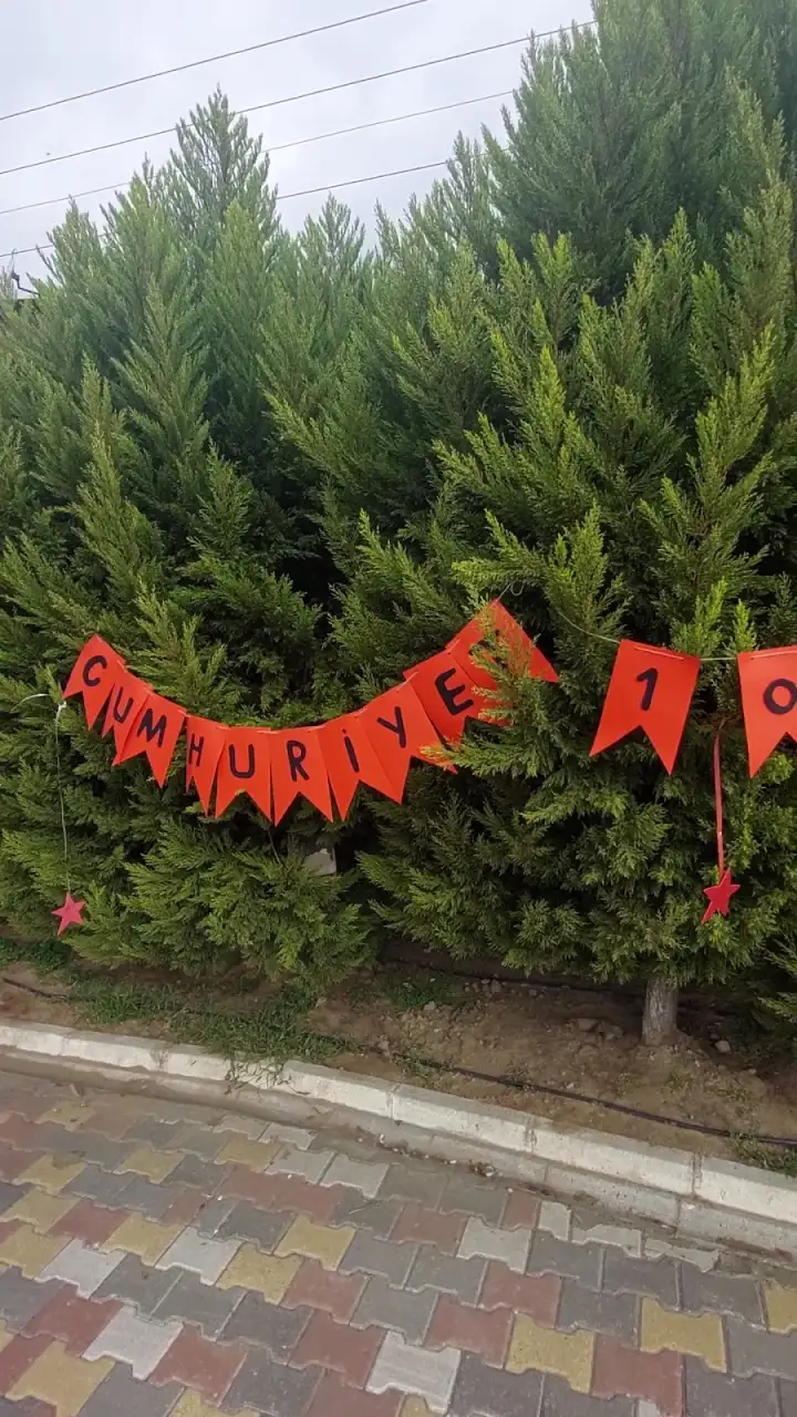 Bilge Arılar Anaokulu Nazilli - Kreş ve Anaokulu - Aydın - galeri görseli