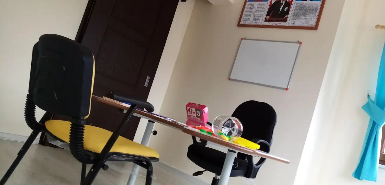 Özel Serdivan Gelişim Özel Eğitim ve Rehabilitasyon Merkezi (SERGEM)